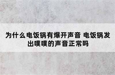 为什么电饭锅有爆开声音 电饭锅发出噗噗的声音正常吗